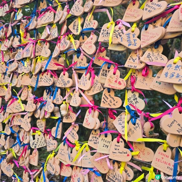 高千穗峽必玩🛶！紅葉🍁櫻花🌸季必搶船票攻略