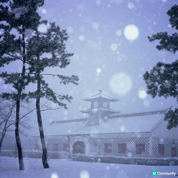 舊新潟稅関廳～♡雪國之景