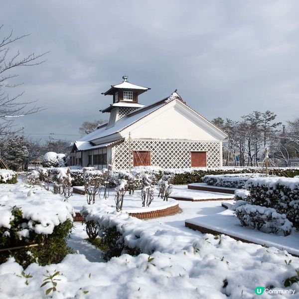 舊新潟稅関廳～♡雪國之景