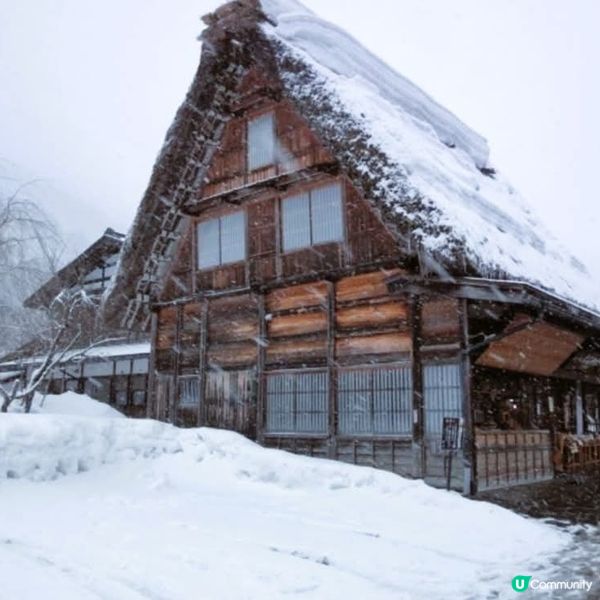雪國和田家❄️ 必去白川鄉！
