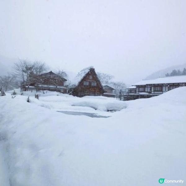 雪國和田家❄️ 必去白川鄉！