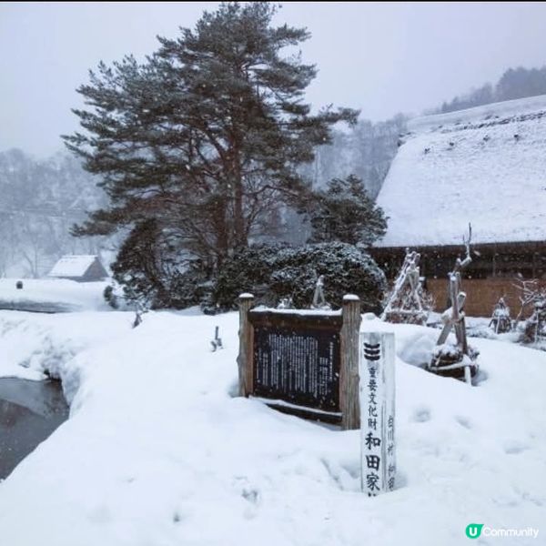 雪國和田家❄️ 必去白川鄉！