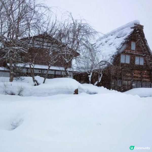 雪國和田家❄️ 必去白川鄉！