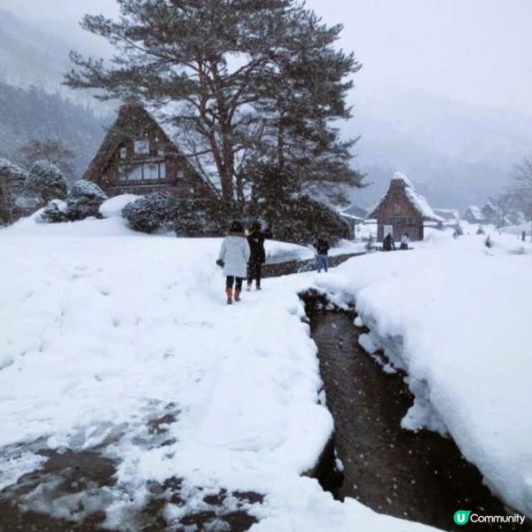 雪國和田家❄️ 必去白川鄉！