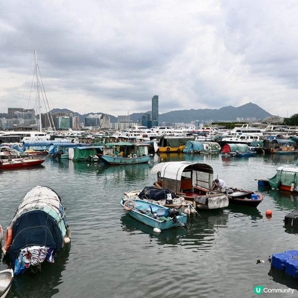 銅鑼灣避風塘新體驗！🦀🌊