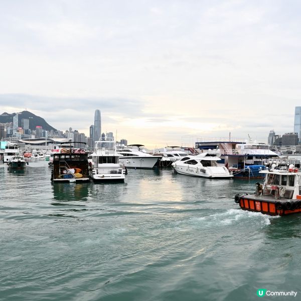 銅鑼灣避風塘新體驗！🦀🌊