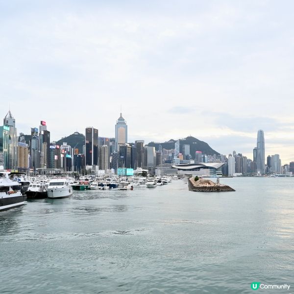 銅鑼灣避風塘新體驗！🦀🌊