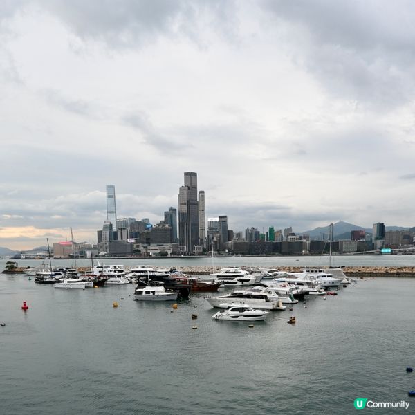 銅鑼灣避風塘新體驗！🦀🌊