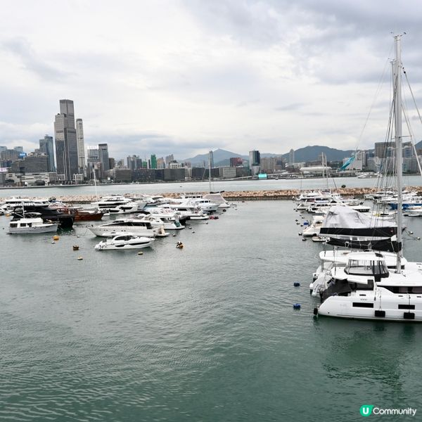 銅鑼灣避風塘新體驗！🦀🌊