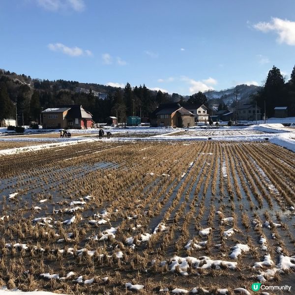 冬日 新潟 荻ノ島🎊🎣