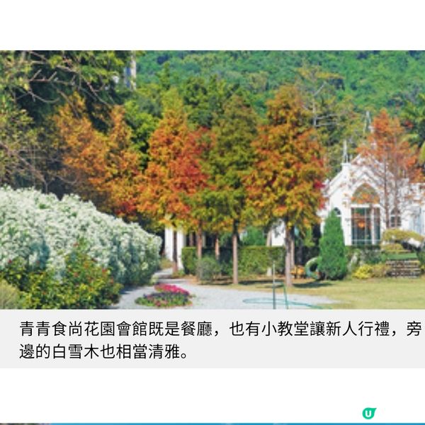 台北士林 落羽松秘境遊