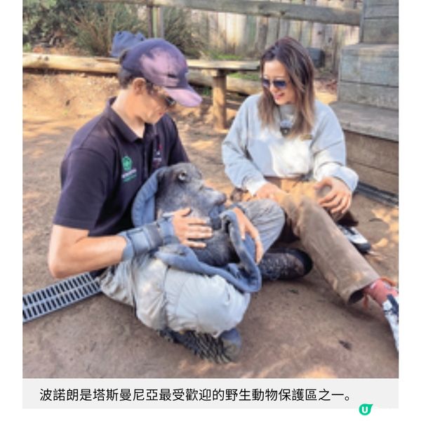跟梁芷珮潮玩塔斯曼尼亞 美酒佳餚與大自然療癒之旅