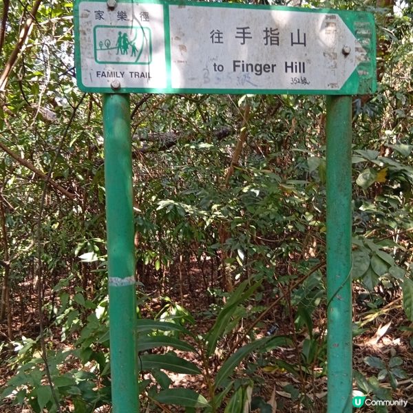 親子遊！坪洲手指山登高望遠 ⛰️🚶‍♀️🚶‍♂️