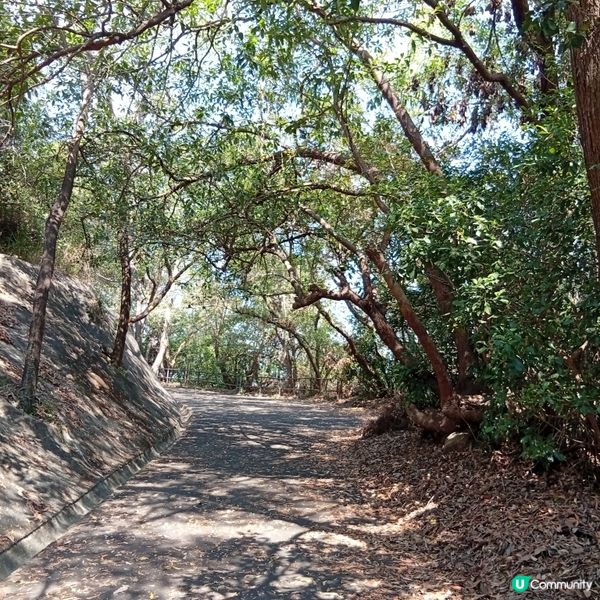 親子遊！坪洲手指山登高望遠 ⛰️🚶‍♀️🚶‍♂️