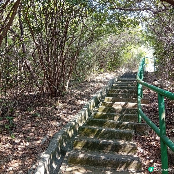 親子遊！坪洲手指山登高望遠 ⛰️🚶‍♀️🚶‍♂️