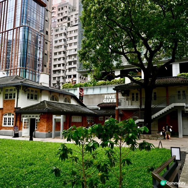 油街實現：古蹟藝術新空間！🎨🌳