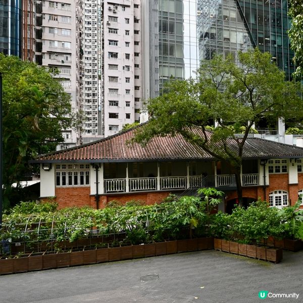 油街實現：古蹟藝術新空間！🎨🌳