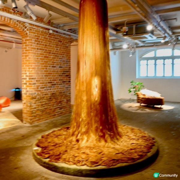 油街實現：古蹟藝術新空間！🎨🌳