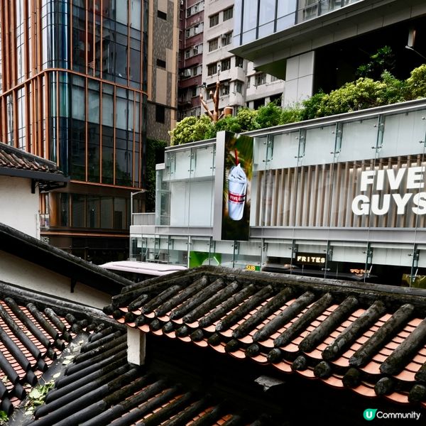 油街實現：古蹟藝術新空間！🎨🌳