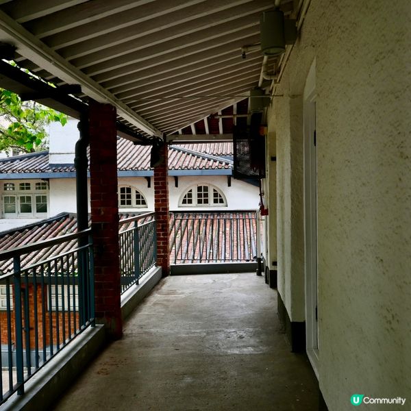 油街實現：古蹟藝術新空間！🎨🌳