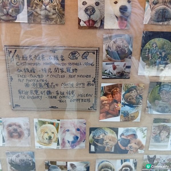 坪洲慢活！☕️🐚📸 悠閒小島遊！請支持特色本土小店