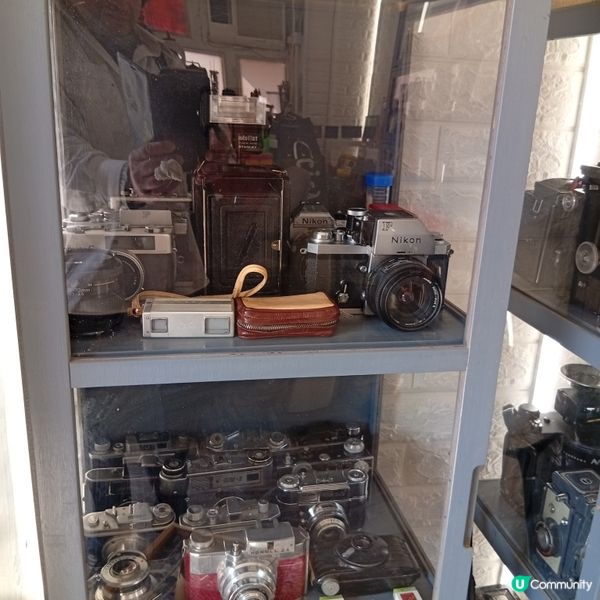 坪洲慢活！☕️🐚📸 悠閒小島遊！請支持特色本土小店