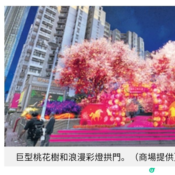 黃埔天地5米高桃花樹添喜慶逾 200燈籠打造4大新春打卡位