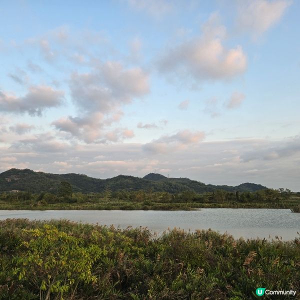 農莊過後！紅樹林靚景🌅🦀