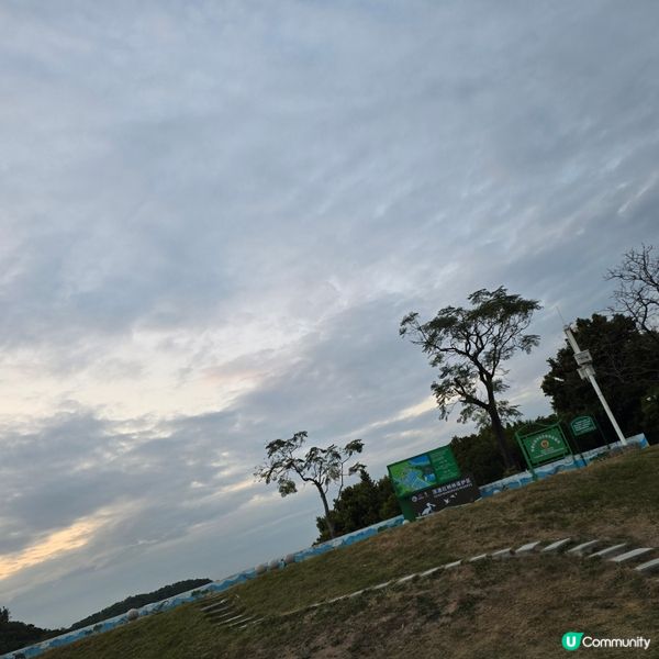 農莊過後！紅樹林靚景🌅🦀