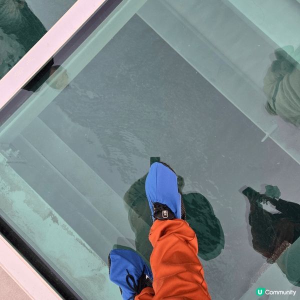 新開的北角東岸板道，可以踩玻璃，踏單車，玩攀石，練習健身器材...