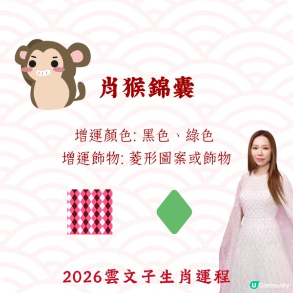 雲文子2026｜12生肖開運顏色/飾物攻略🌟教你4生肖犯太歲化解配飾❗