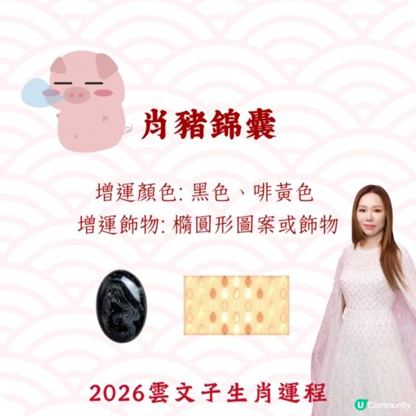 雲文子2026｜12生肖開運顏色/飾物攻略🌟教你4生肖犯太歲化解配飾❗