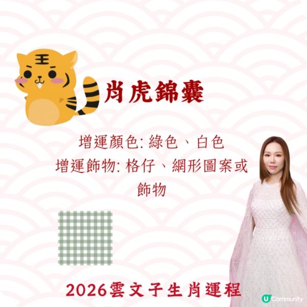 雲文子2026｜12生肖開運顏色/飾物攻略🌟教你4生肖犯太歲化解配飾❗