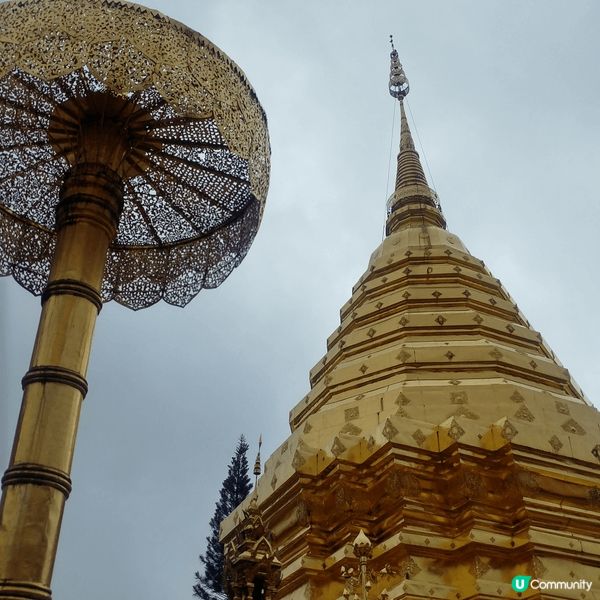 泰國清邁--宏偉的宮殿，美味的泰式食物，漂亮的自然風景！