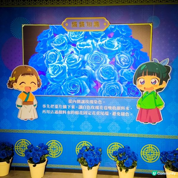 藥師少女的獨語動畫展- 旺角Incubase 