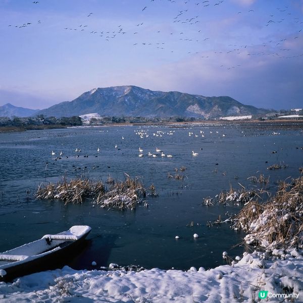 佐潟 冬日三重奏 😍😍😍😍