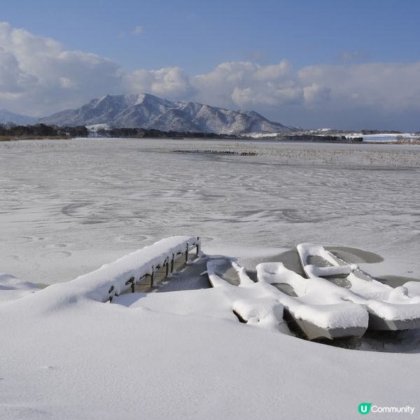 佐潟 冬日三重奏 😍😍😍😍