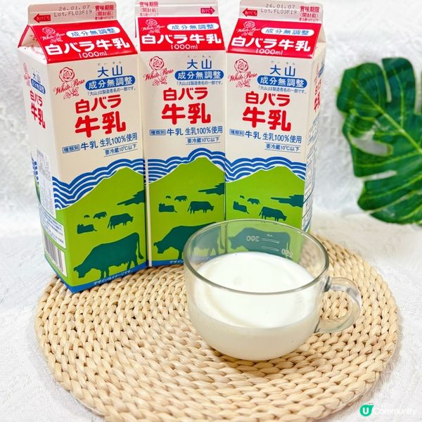 大山乳業鮮牛乳🥛