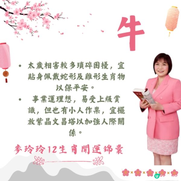 麥玲玲12生肖開運錦囊2026🐎健康/事業/置業/旅遊/裝修貼士一篇整理🌟