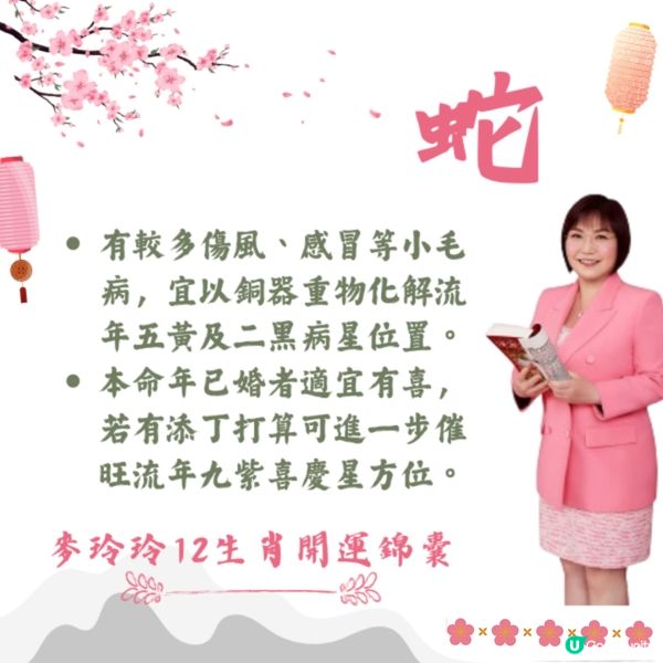 麥玲玲12生肖開運錦囊2026🐎健康/事業/置業/旅遊/裝修貼士一篇整理🌟