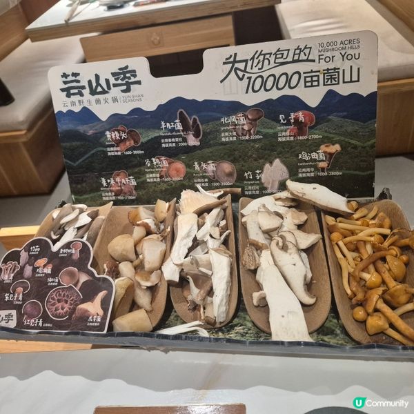 深圳 - 必食雲南野生菌火鍋 （芸山季）