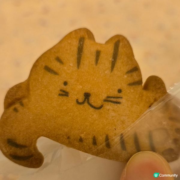 日本信州貓貓三兄弟貓咪造型餅乾禮盒🐱