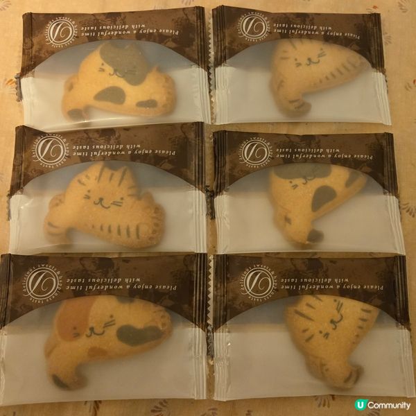 日本信州貓貓三兄弟貓咪造型餅乾禮盒🐱