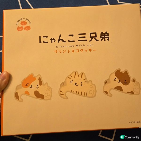 日本信州貓貓三兄弟貓咪造型餅乾禮盒🐱