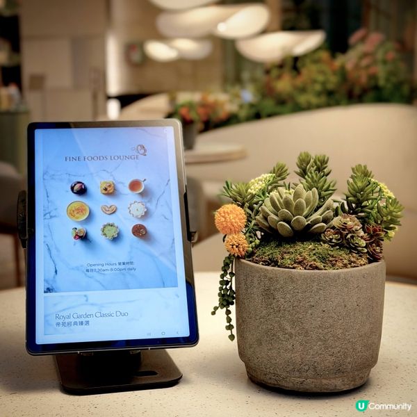 小清新@Fine Foods Lounge 