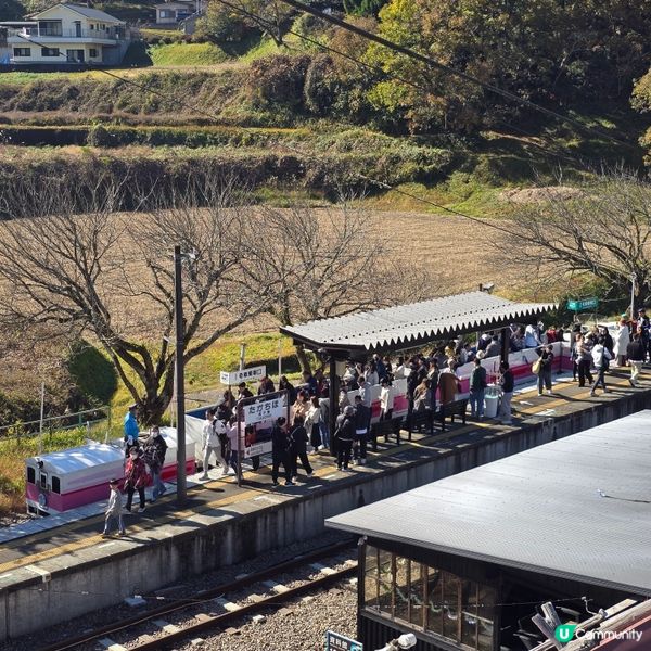 高千穗必玩！泡泡露天小火車🚂+世界遺產神樂🎭✨