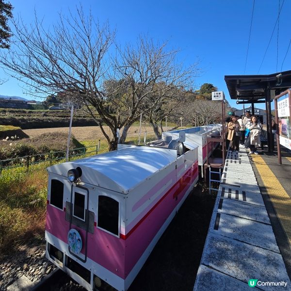 高千穗必玩！泡泡露天小火車🚂+世界遺產神樂🎭✨