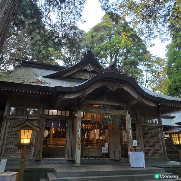 高千穗必玩！泡泡露天小火車🚂+世界遺產神樂🎭✨