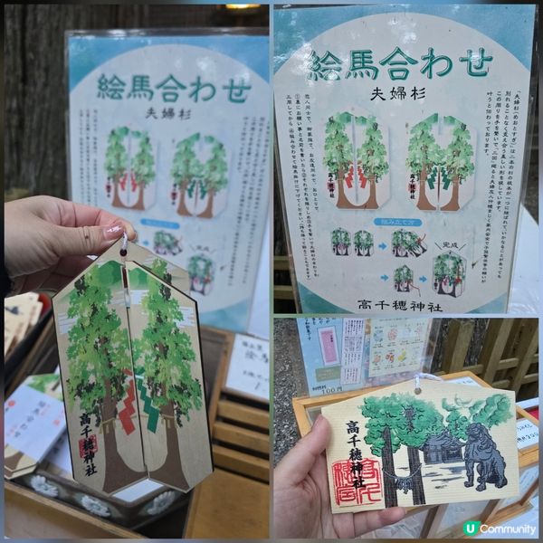 高千穗必玩！泡泡露天小火車🚂+世界遺產神樂🎭✨