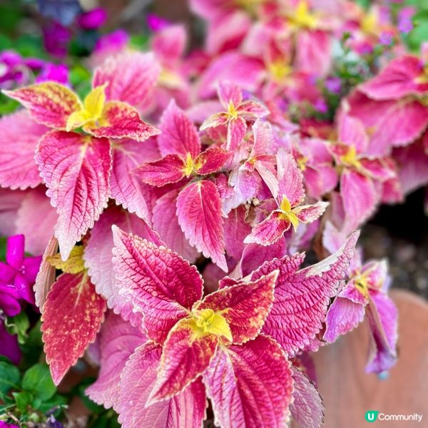 北區公園：古今樂園任你玩！🤩